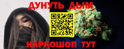 соль ск Новозыбков
