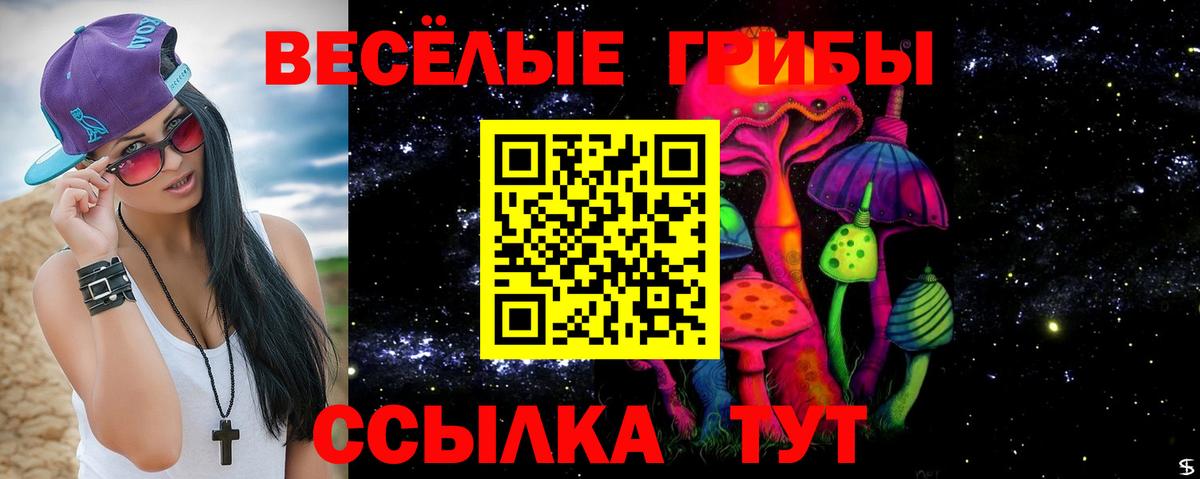 Старая Купавна  Псилоцибиновые грибы Psilocybine cubensis  Вход с VPN  Галлюциногенные грибы Cubensis 